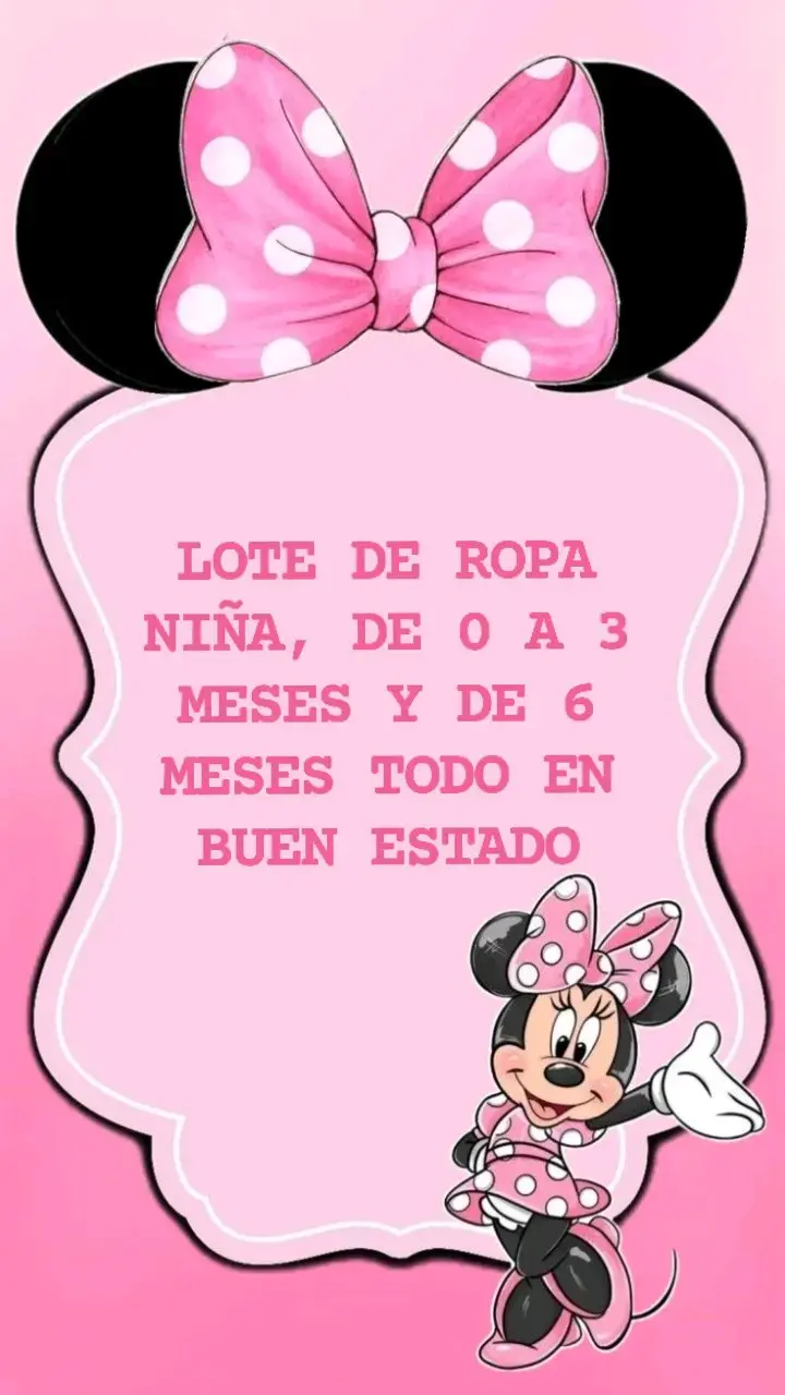 Lote de ropa para niña de 0 a 6 meses