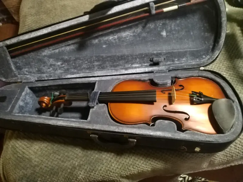 Violín acústico con estuche y arco - 1