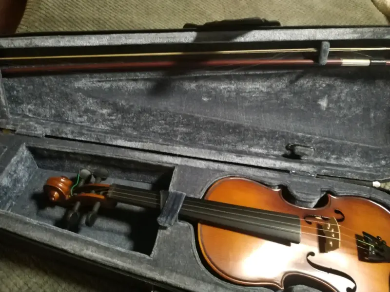 Violín acústico con estuche y arco - 2