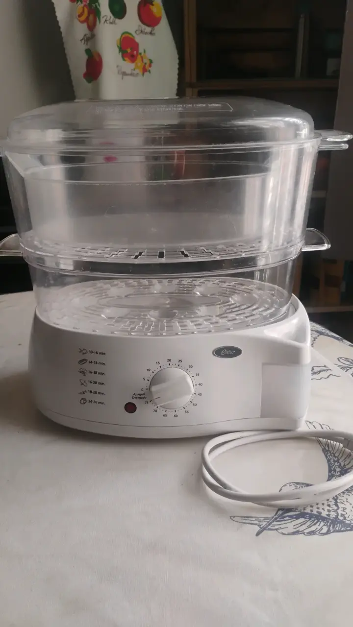 Vaporera eléctrica Oster en buen estado