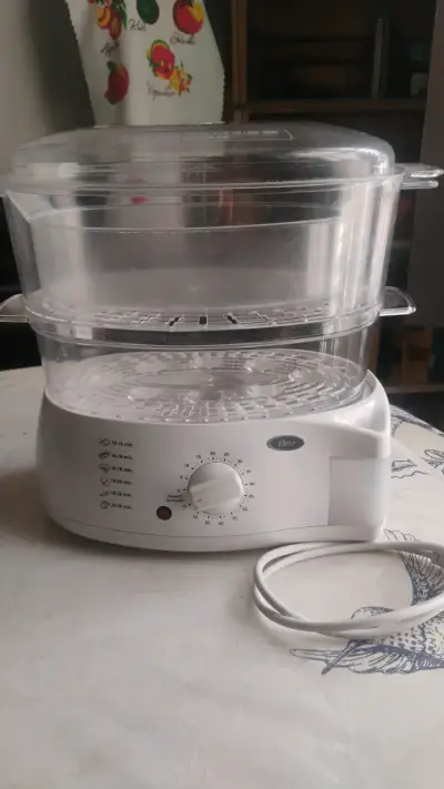 Vaporera eléctrica Oster en buen estado - miniatura 1