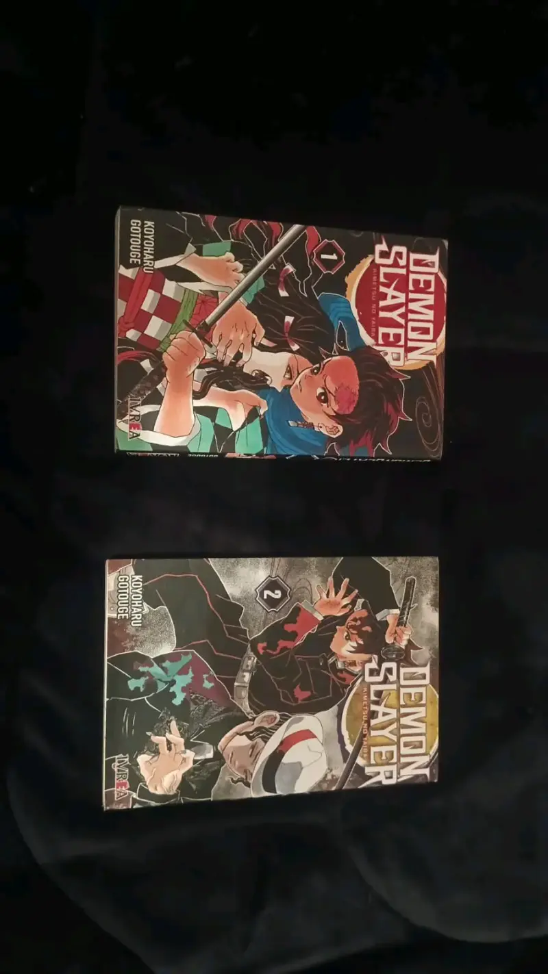 Mangas Demon Slayer Tomos 1 y 2 - 1