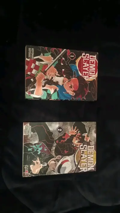 Mangas Demon Slayer Tomos 1 y 2 - miniatura 1