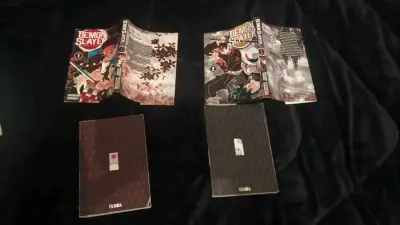 Mangas Demon Slayer Tomos 1 y 2 - miniatura 2