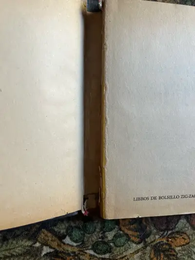 Libro 'Chilena, Casada, Sin Profesión' de Elisa Serrana - miniatura 2