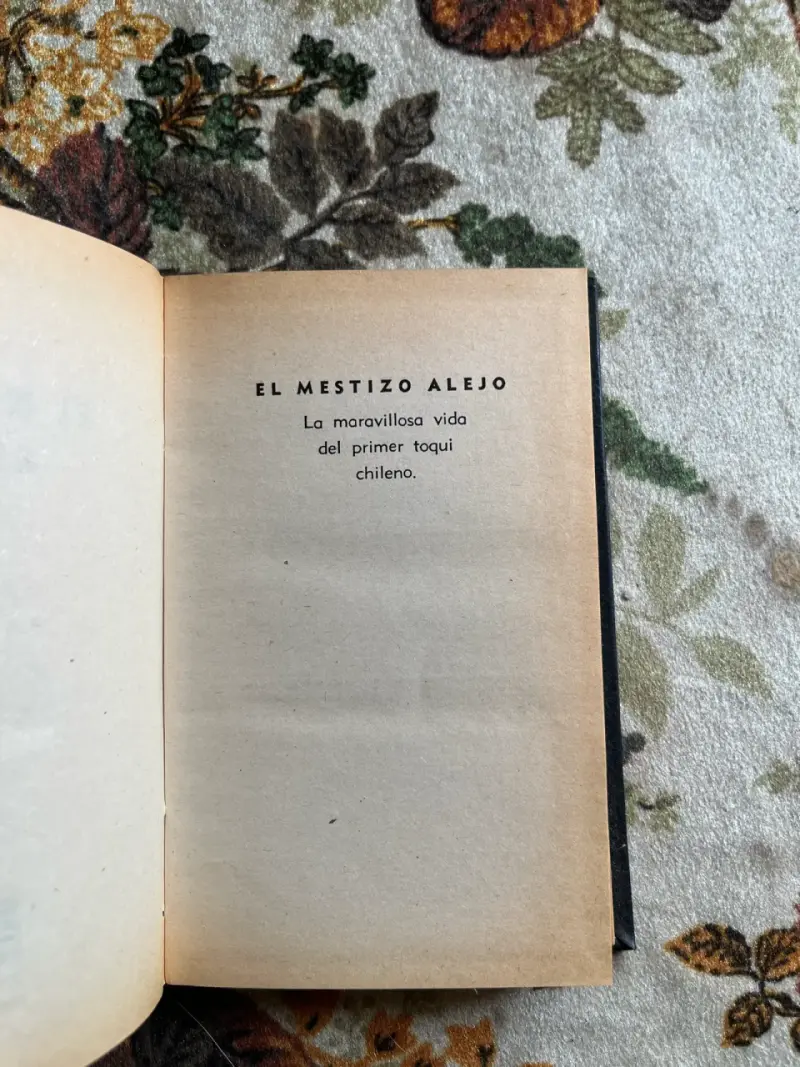 Libro 'El Mestizo Alejo' de Víctor Domingo Silva - 2