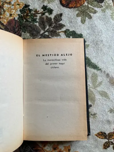 Libro 'El Mestizo Alejo' de Víctor Domingo Silva - miniatura 2