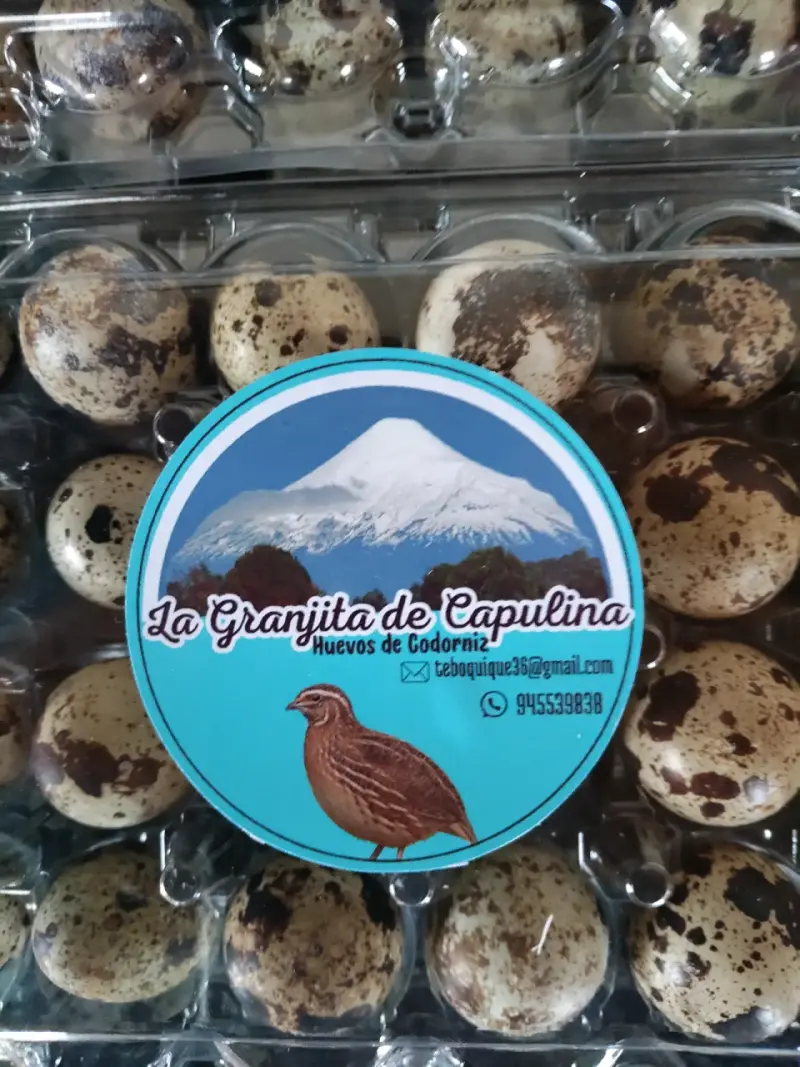 Huevos de codorniz La Granjita de Capulina - 2