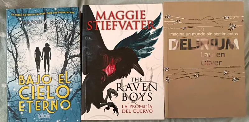 Lote de libros: Bajo el Cielo Eterno, The - 1