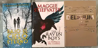 Lote de libros: Bajo el Cielo Eterno, The - miniatura 1