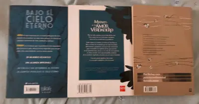 Lote de libros: Bajo el Cielo Eterno, The - miniatura 2