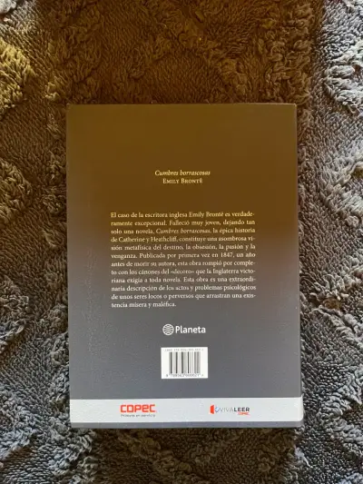 Cumbres Borrascosas de Emily Brontë - miniatura 2