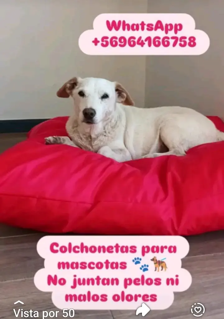 Colchoneta para mascotas negra grande - 2