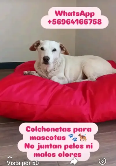 Colchoneta para mascotas negra grande - miniatura 2
