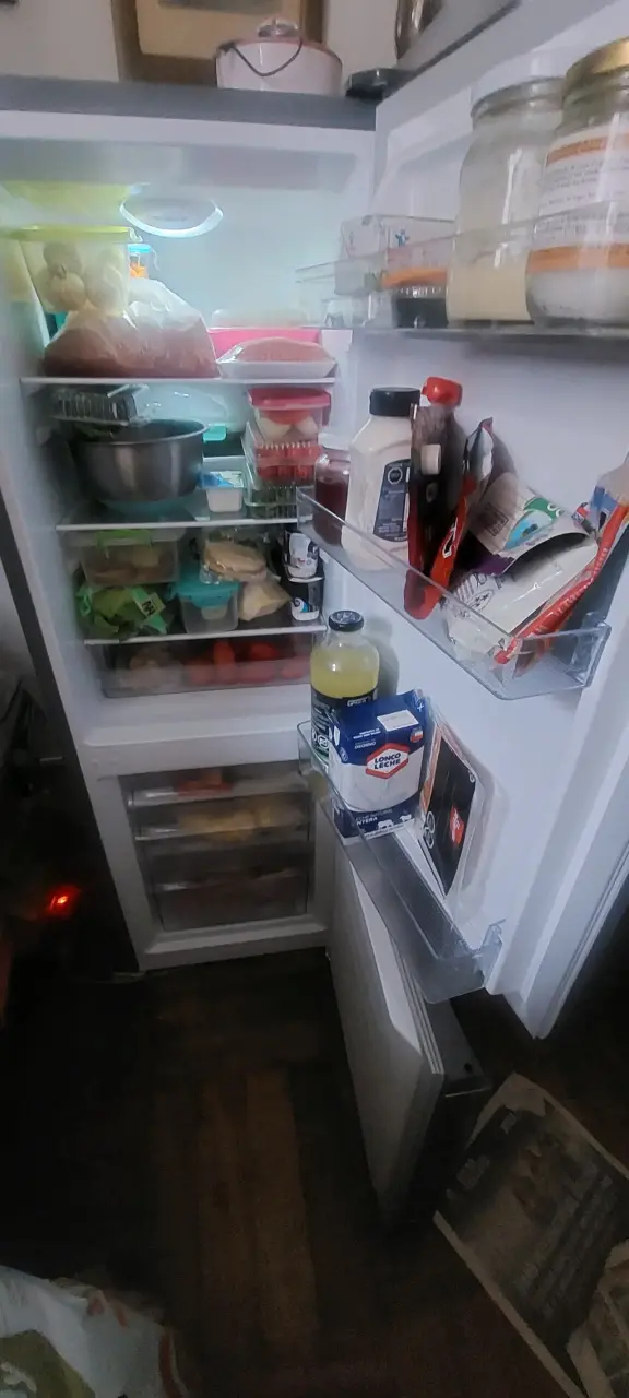 Refrigerador Hisense RD-22DC con congelador - 4