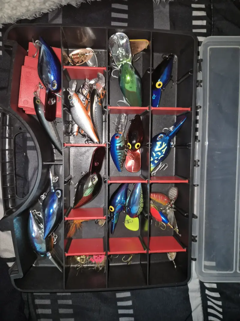 Caja de señuelos de pesca variados