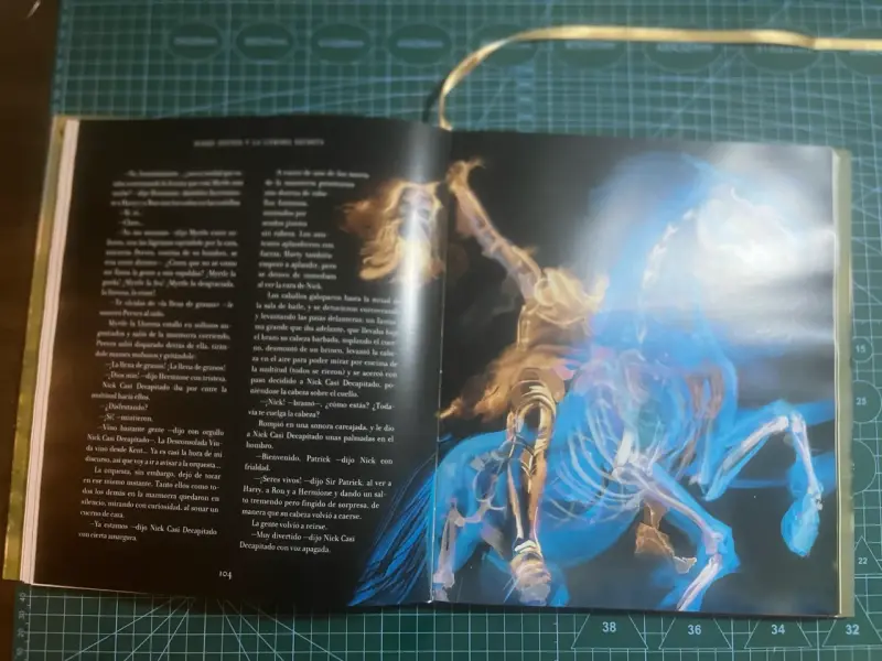 Libro Harry Potter y la Cámara Secreta Ilustrado - 2