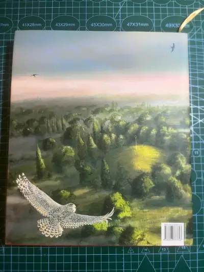 Libro Harry Potter y la Cámara Secreta Ilustrado - miniatura 3