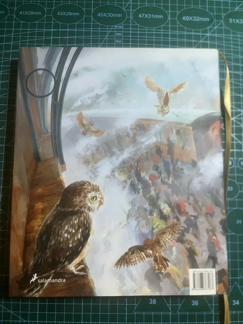 Libro ilustrado Harry Potter y la piedra filosofal - 3