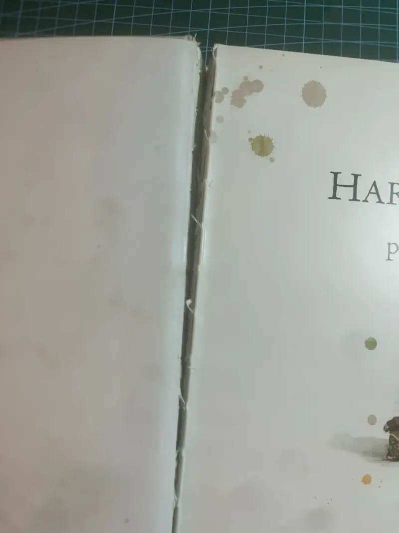 Libro ilustrado Harry Potter y la piedra filosofal - 4