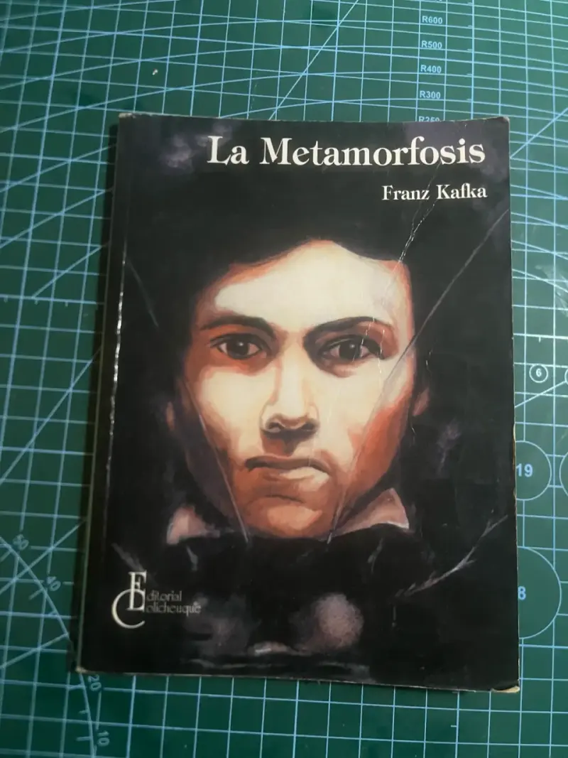 Libro La Metamorfosis de Franz Kafka - 1