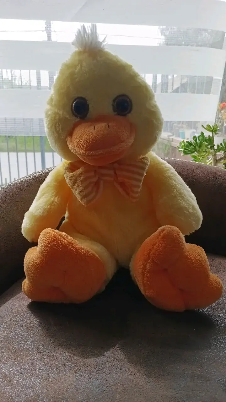 Peluche hermoso de Pato Amarillo - 1