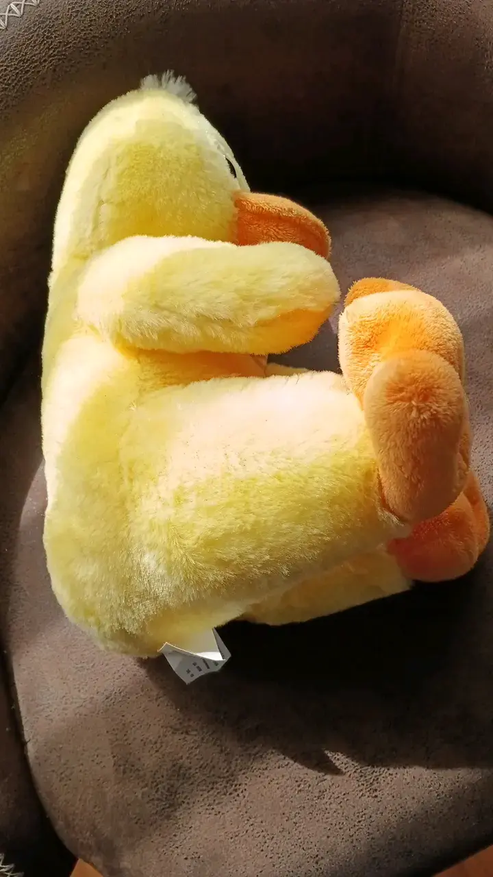 Peluche hermoso de Pato Amarillo - 2