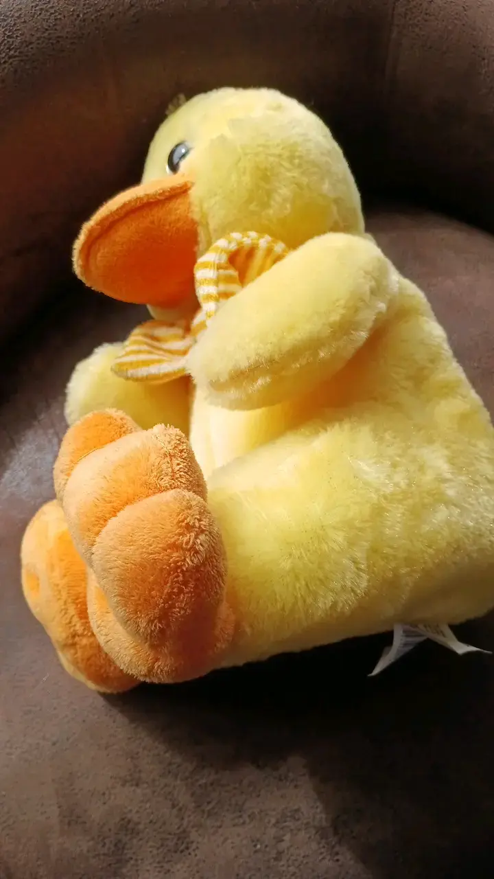 Peluche hermoso de Pato Amarillo - 3