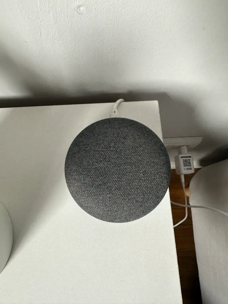 Google Home mini - 1