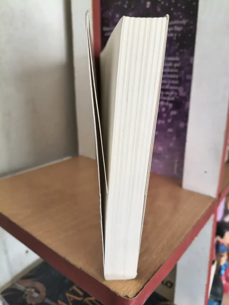 Cometas en el Cielo - Khaled Hosseini - 6