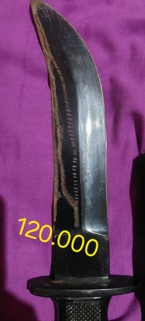 Corvo atacameño con funda - 6