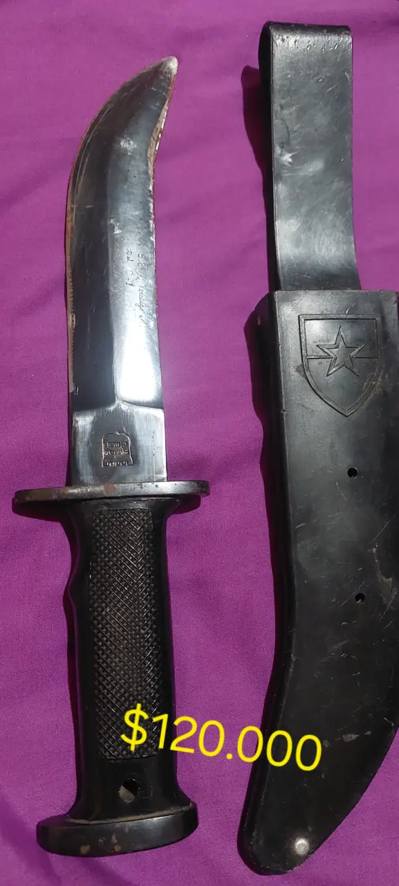 Corvo atacameño con funda - 12