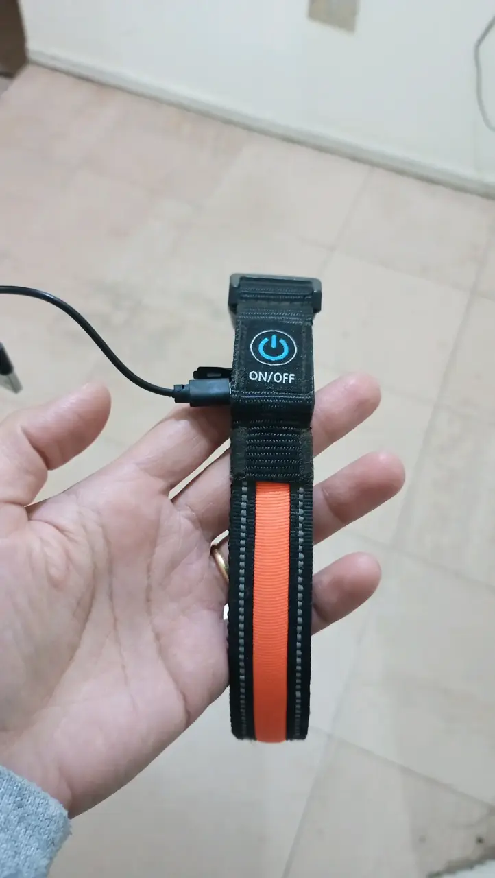 Collar LED para mascotas recargable