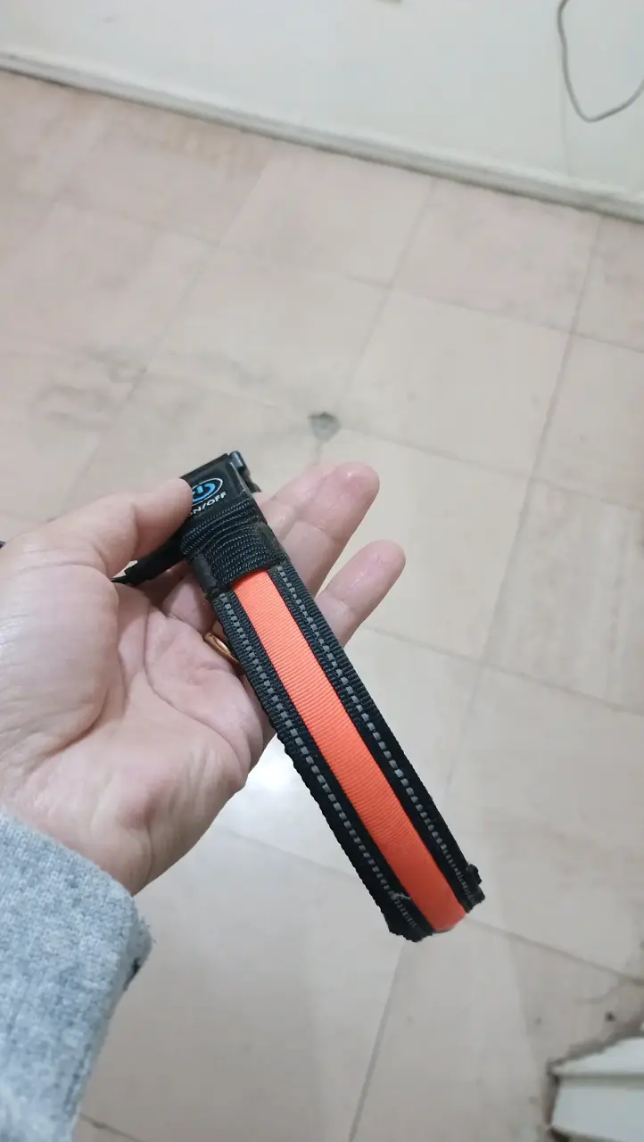 Collar LED para mascotas recargable - 2