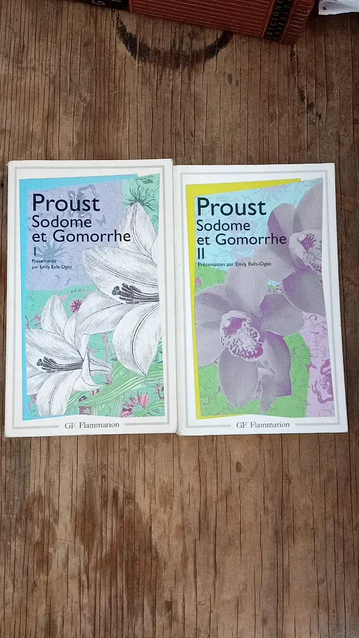 Libros Sodome et Gomorrhe de Proust