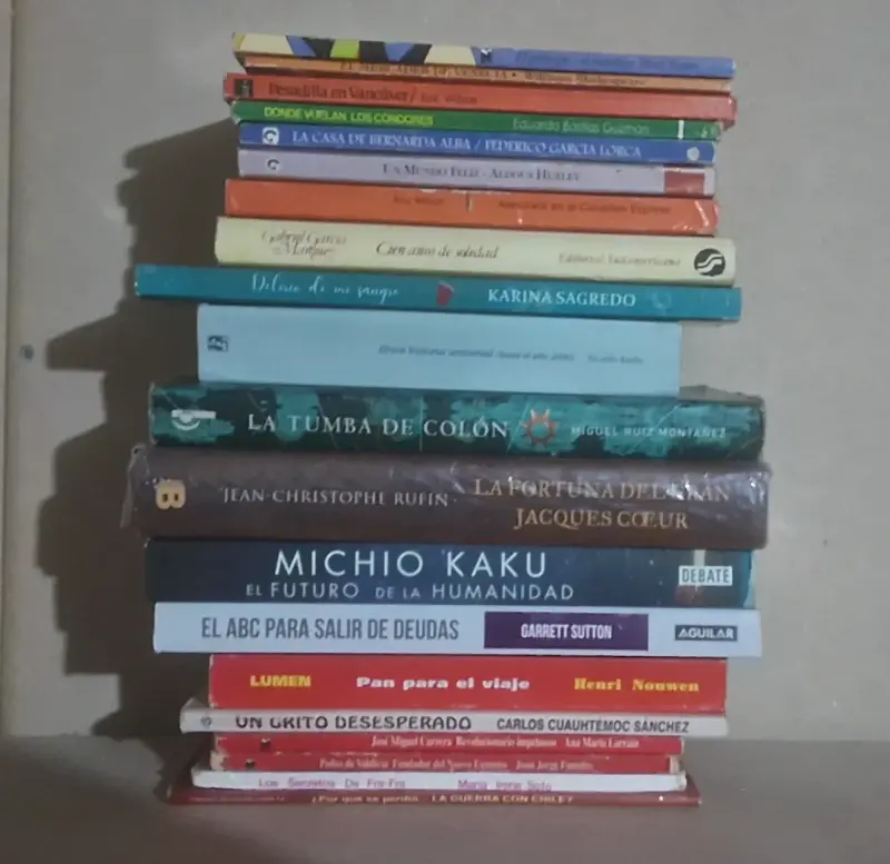 Lote de 20 libros variados en buen estado