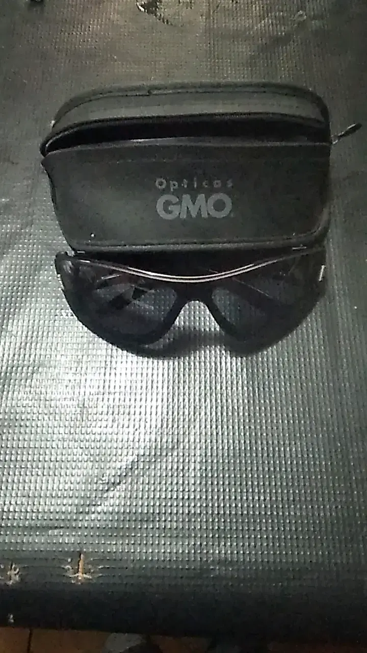 Gafas de Sol Negras con Estuche GMO - 1