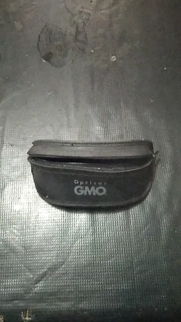 Gafas de Sol Negras con Estuche GMO - 3