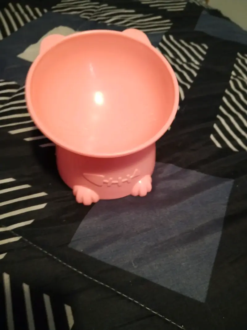 Tazón mascota con diseño de gato - 4