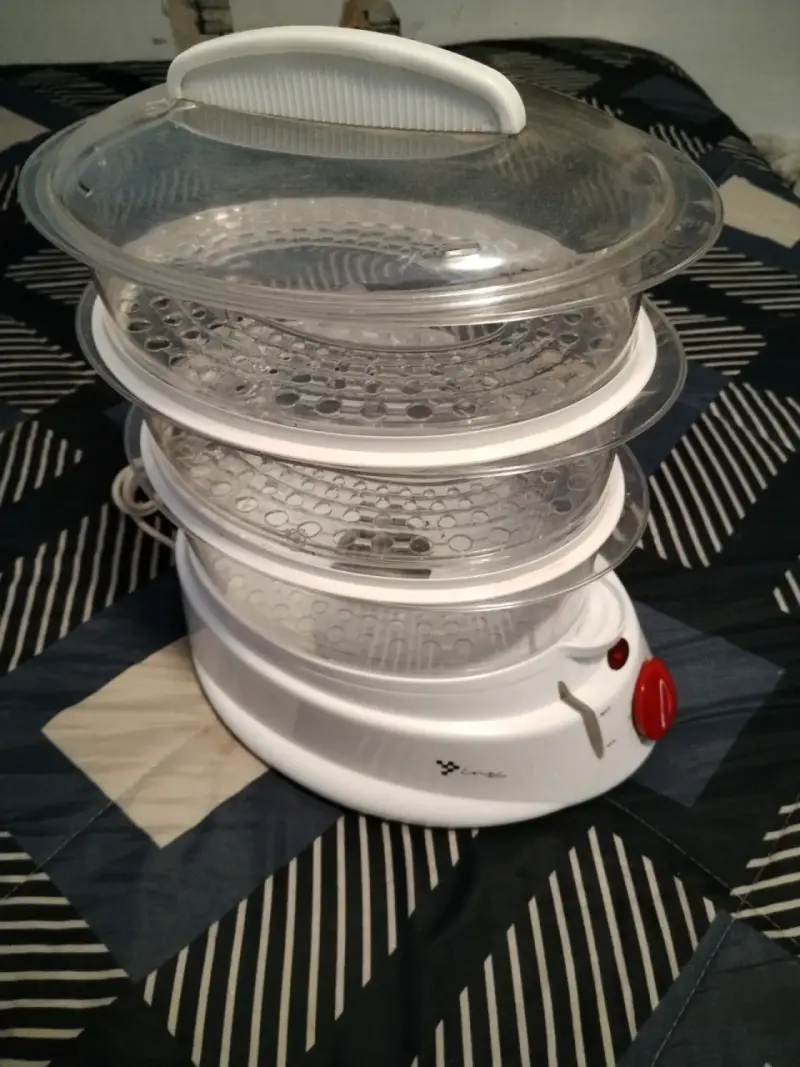 Vaporizador de alimentos eléctrico con temporizador - 2