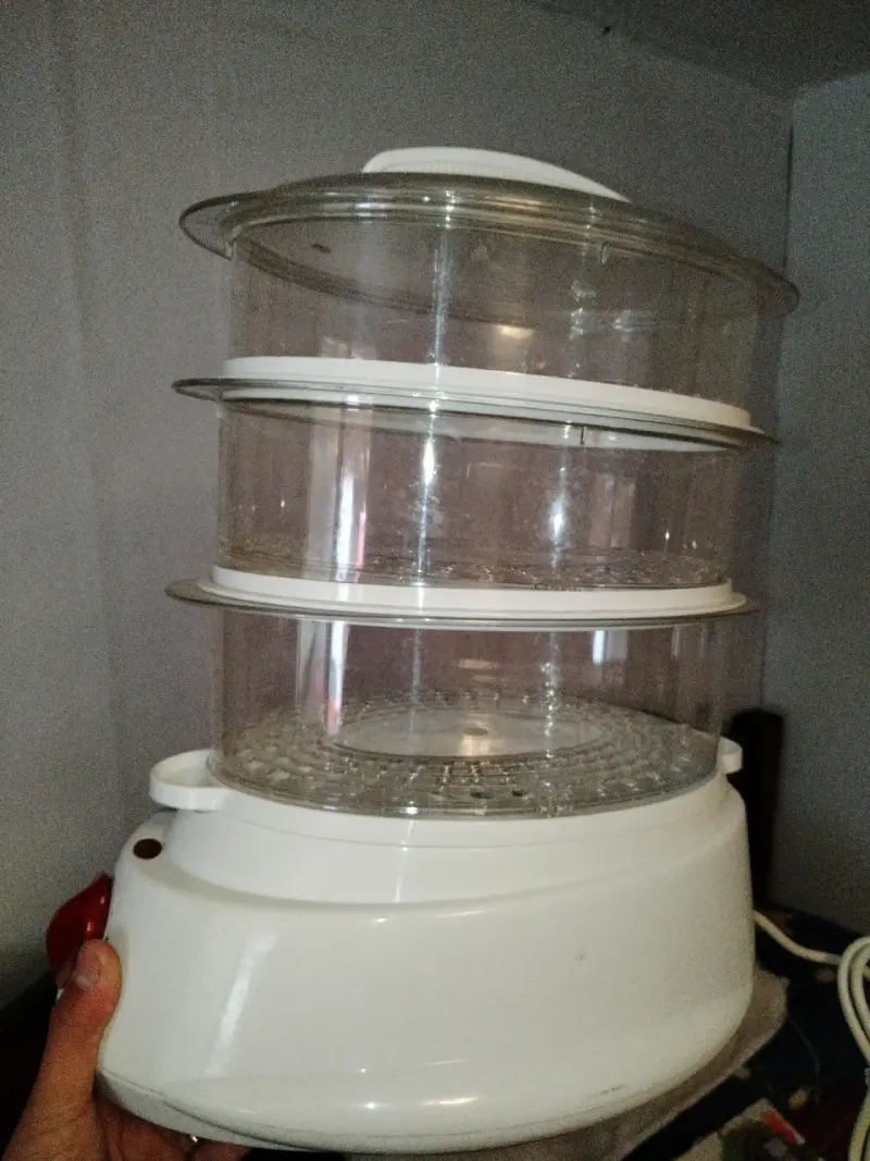 Vaporizador de alimentos eléctrico con temporizador - 4