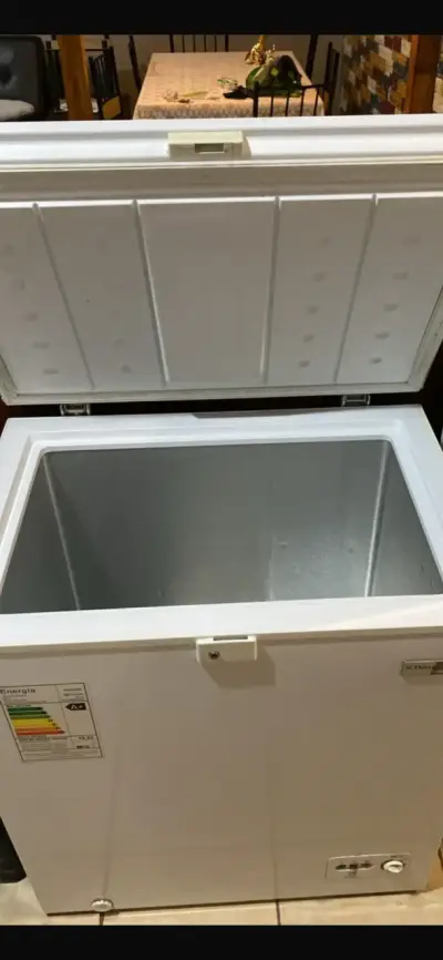 Congelador horizontal Electrolux A+ eficiente - miniatura 1