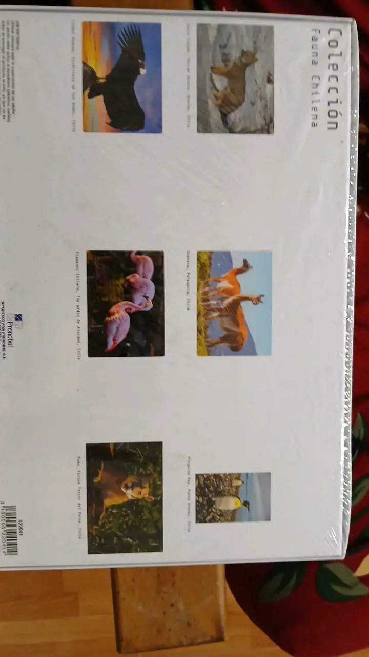 Puzzle 500 piezas Fauna Chilena cóndor - 2
