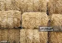 Fardos de pasto