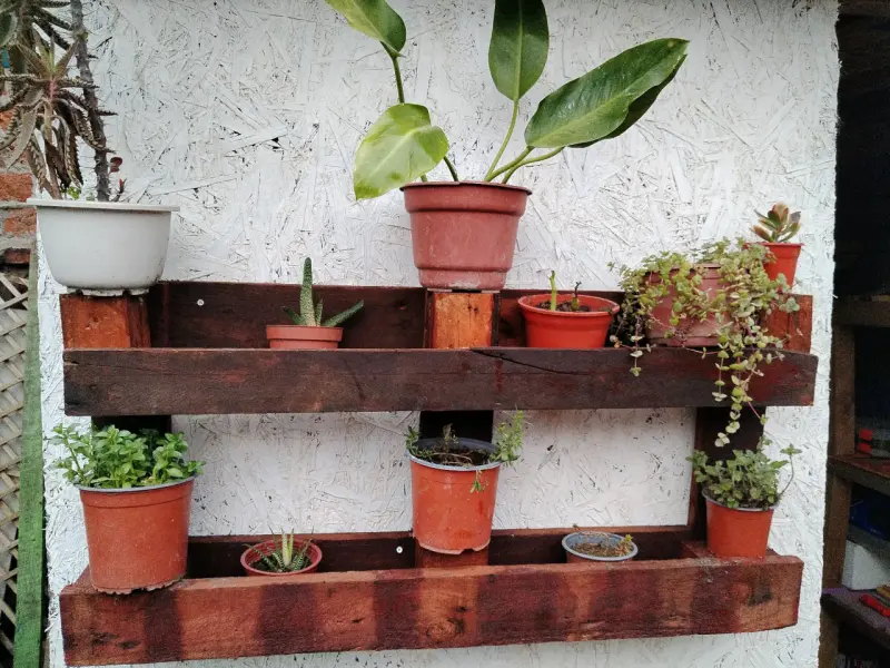 Estante de madera para macetas con plantas