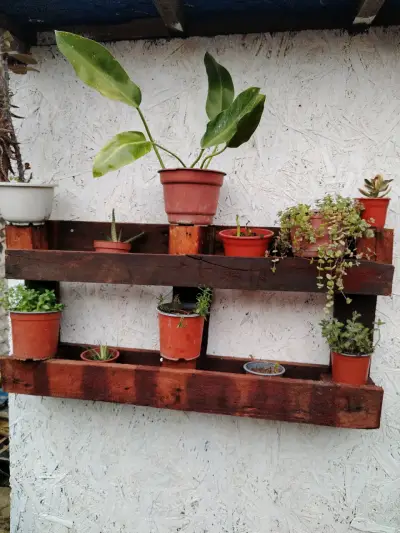 Estante de madera para macetas con plantas - miniatura 2
