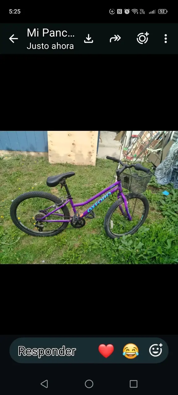 Bicicleta Oxford Morada con Canasto