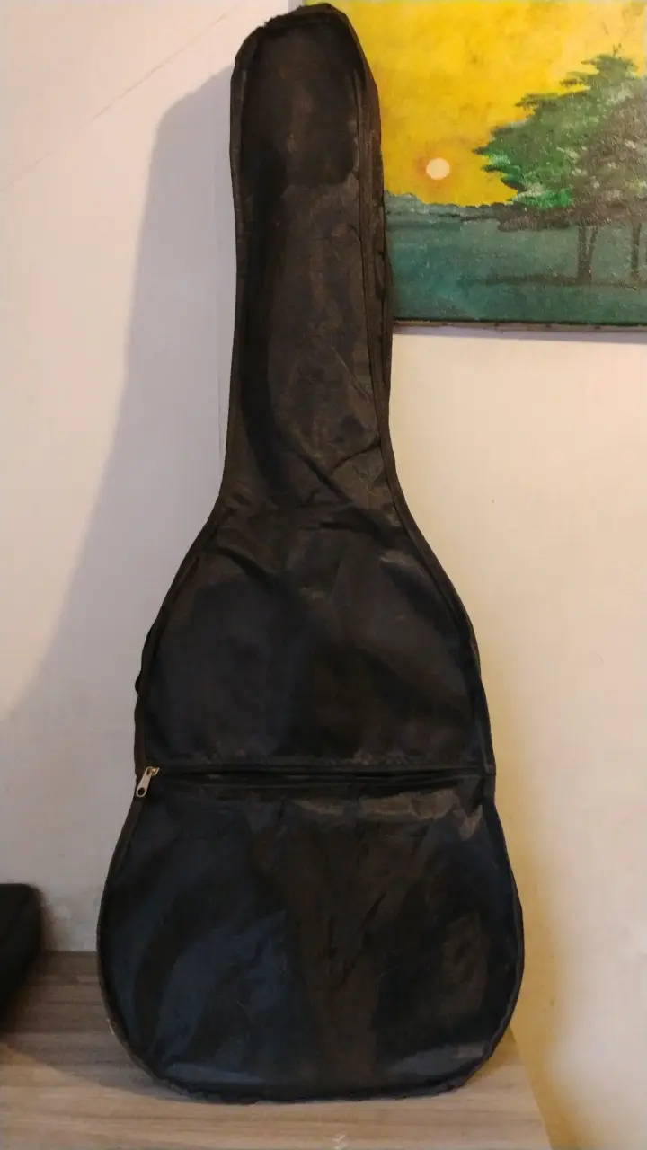 Guitarra clásica acústica con funda MEDINA - 2