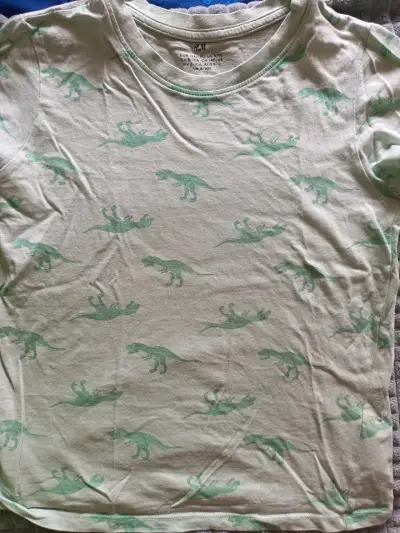 Polera infantil estampado dinosaurios H&M T8 - miniatura 1