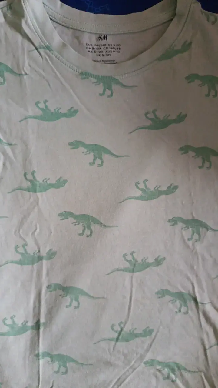 Polera infantil estampado dinosaurios H&M T8 - 2